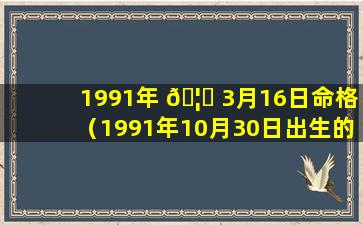 1991年 🦅 3月16日命格（1991年10月30日出生的人命运 🐧 ）